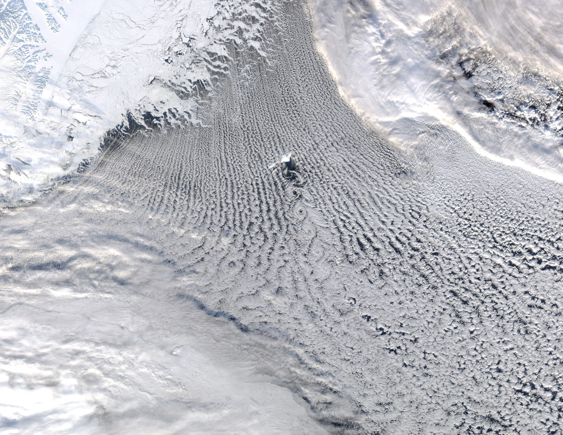 Parallel white clouds cross the Greenland Sea, curling into vortices downwind of an island.