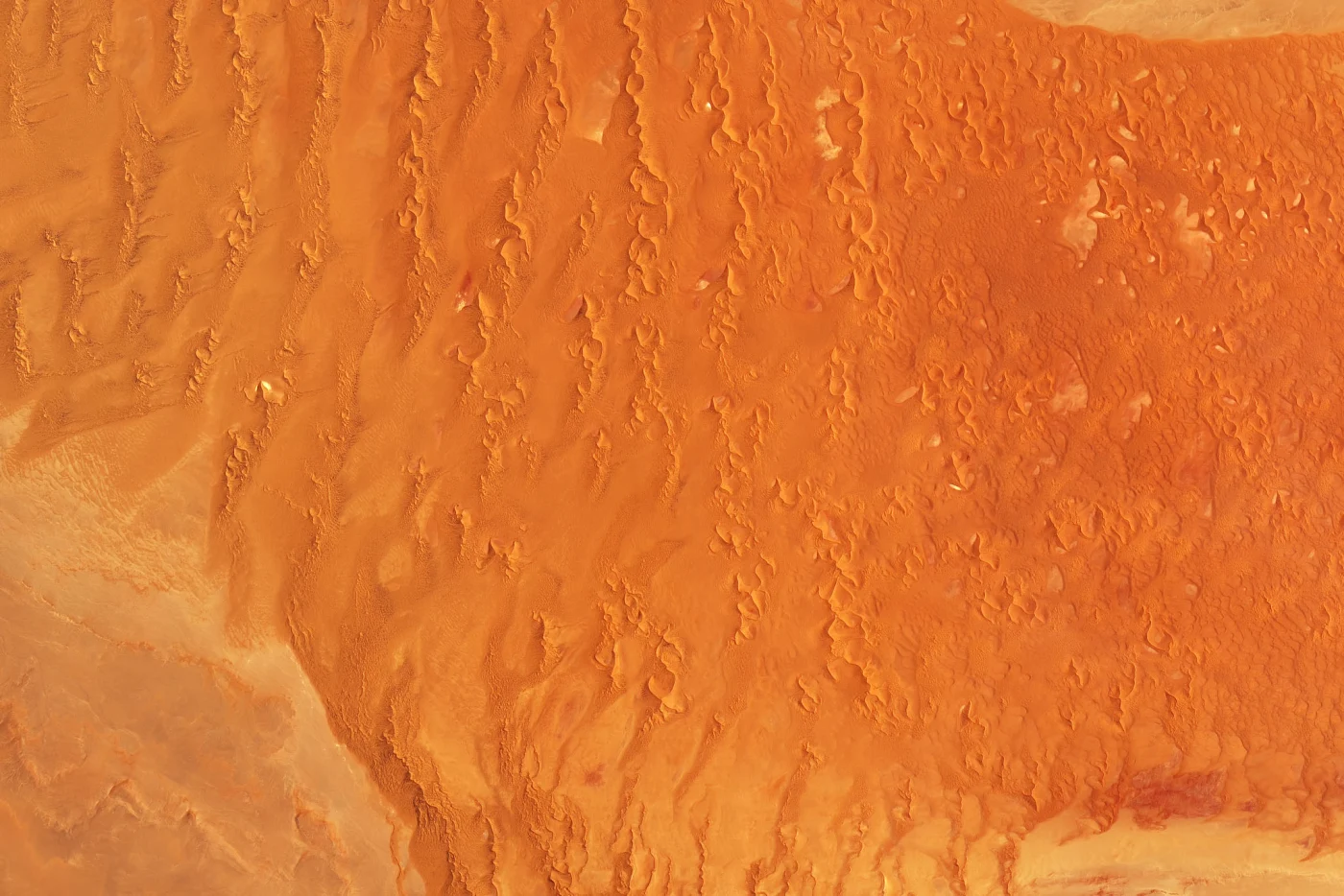 Fine lines of warm-toned dunes surround pale rock outcrops in the Namib Sand Sea.